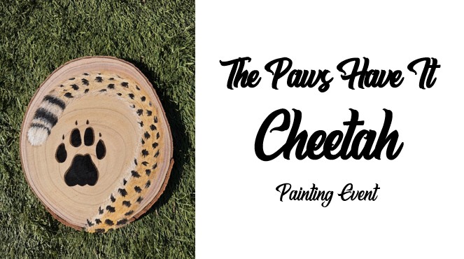 A wooden round painted with a black paw print and cheetah tail pattern sits on grass; text reads "The Paws Have It Cheetah Painting Event." Join us to celebrate creativity and all things cheetah at this unique painting event!.