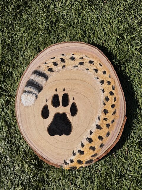 The Paws Have It ~ Cheetah ~ Painting Event 5 A round wooden slab painted with a curled cheetah tail forming a circle around a black paw print, placed on green grass—perfect for your next painting event.