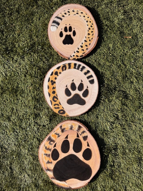 The Paws Have It ~ Cheetah ~ Painting Event 6 Three wooden discs on grass, each painted with a large black paw print and a stylized, curled cheetah tail featuring yellow, black, and white spots and stripes—perfect for a paws-themed painting event.